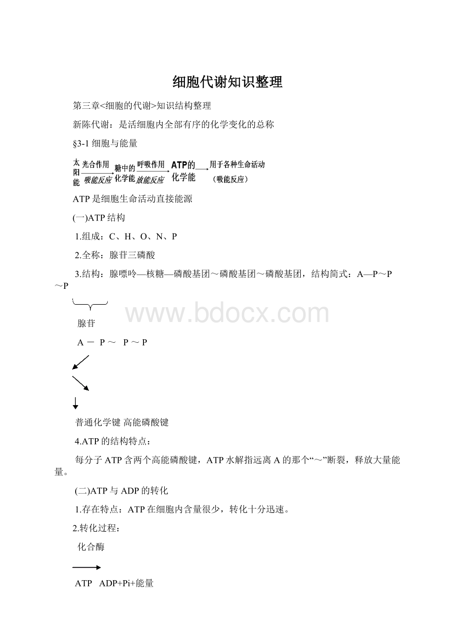 细胞代谢知识整理.docx_第1页