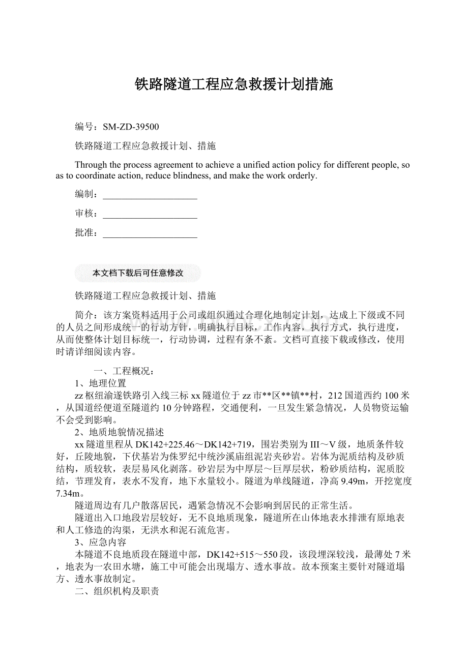 铁路隧道工程应急救援计划措施.docx