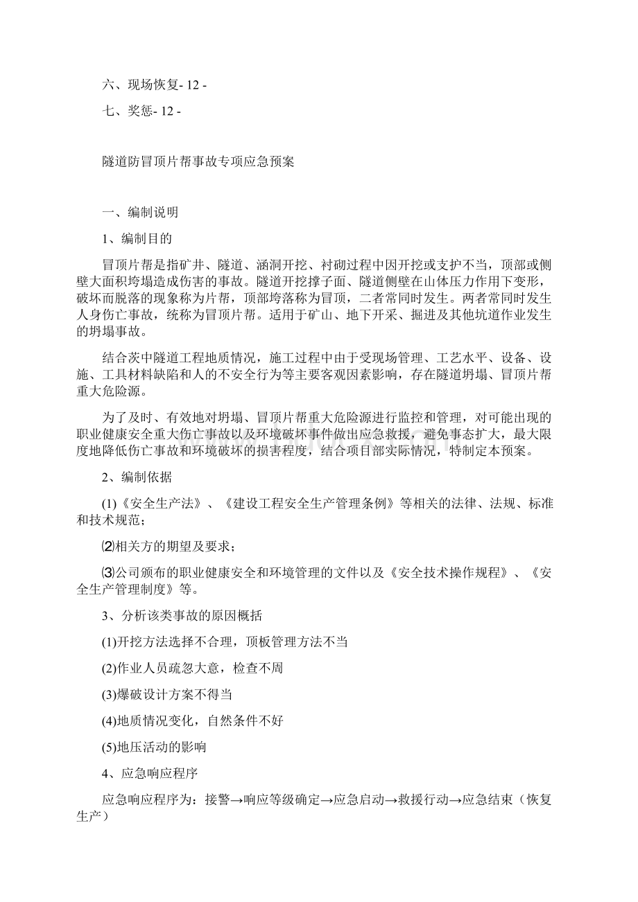 隧道防冒顶片帮事故专项应急预案文档格式.docx_第2页