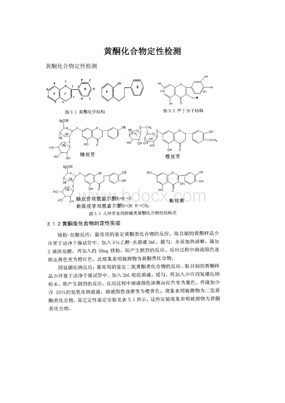 黄酮化合物定性检测Word文档格式.docx