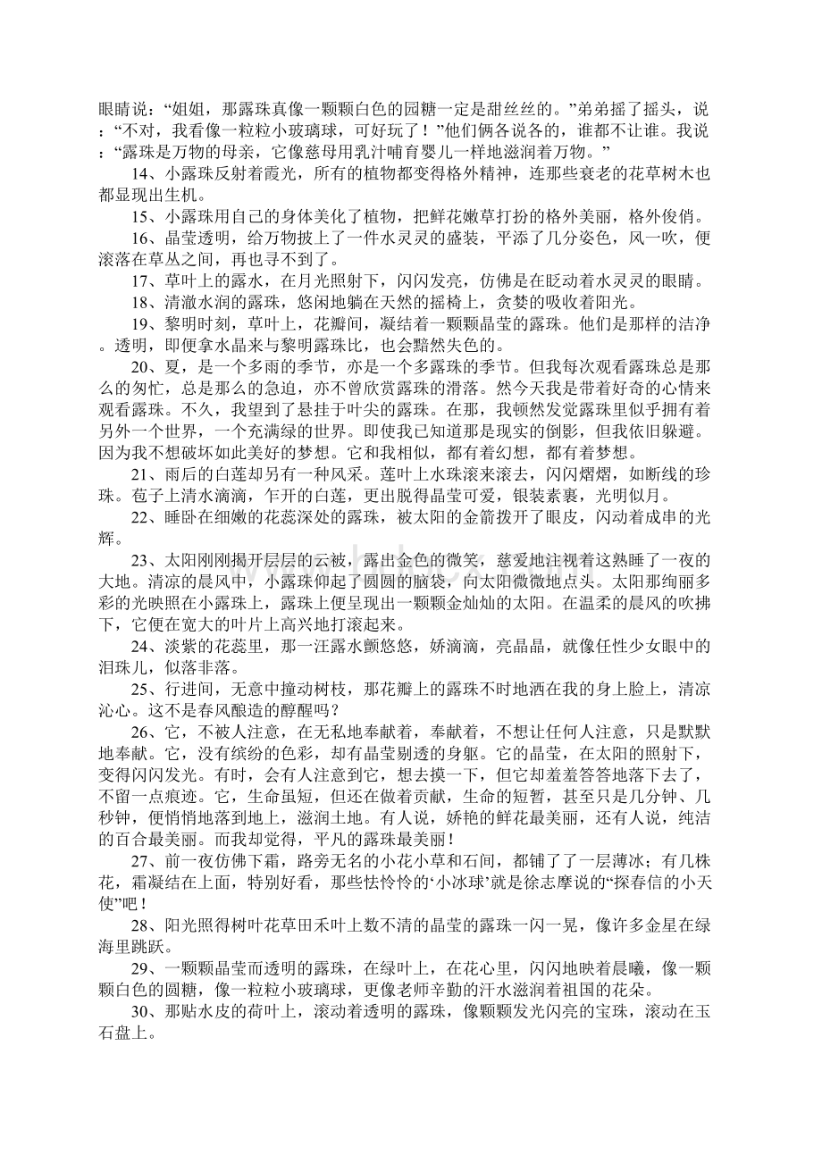 露珠的句子Word格式文档下载.docx_第2页