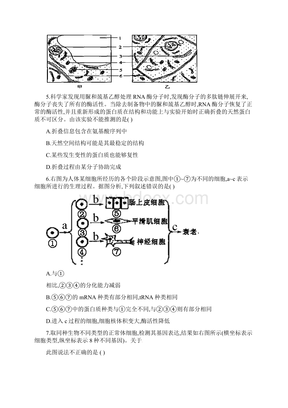 浙江省学考选考台州中学高三上学期第四次统练生物试题及参考答案.docx_第2页