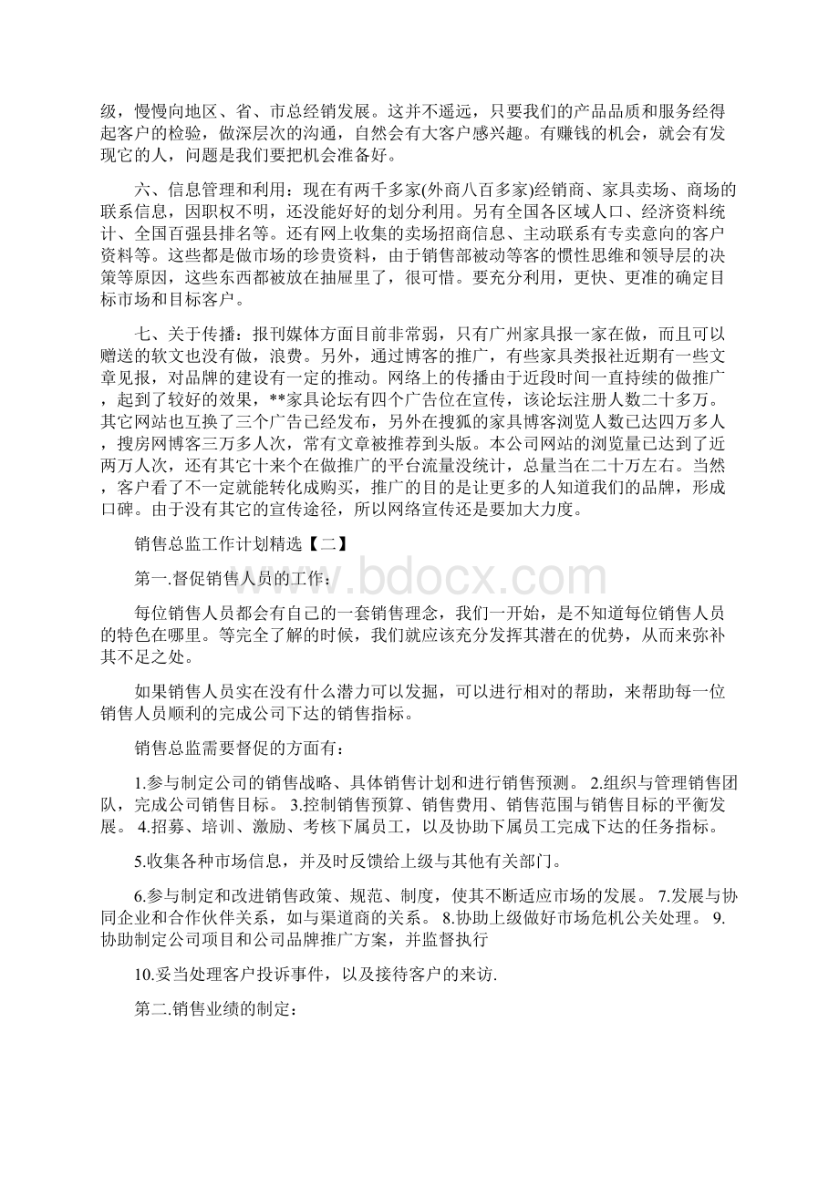 销售总监工作计划精选与销售月工作计划汇编文档格式.docx_第2页