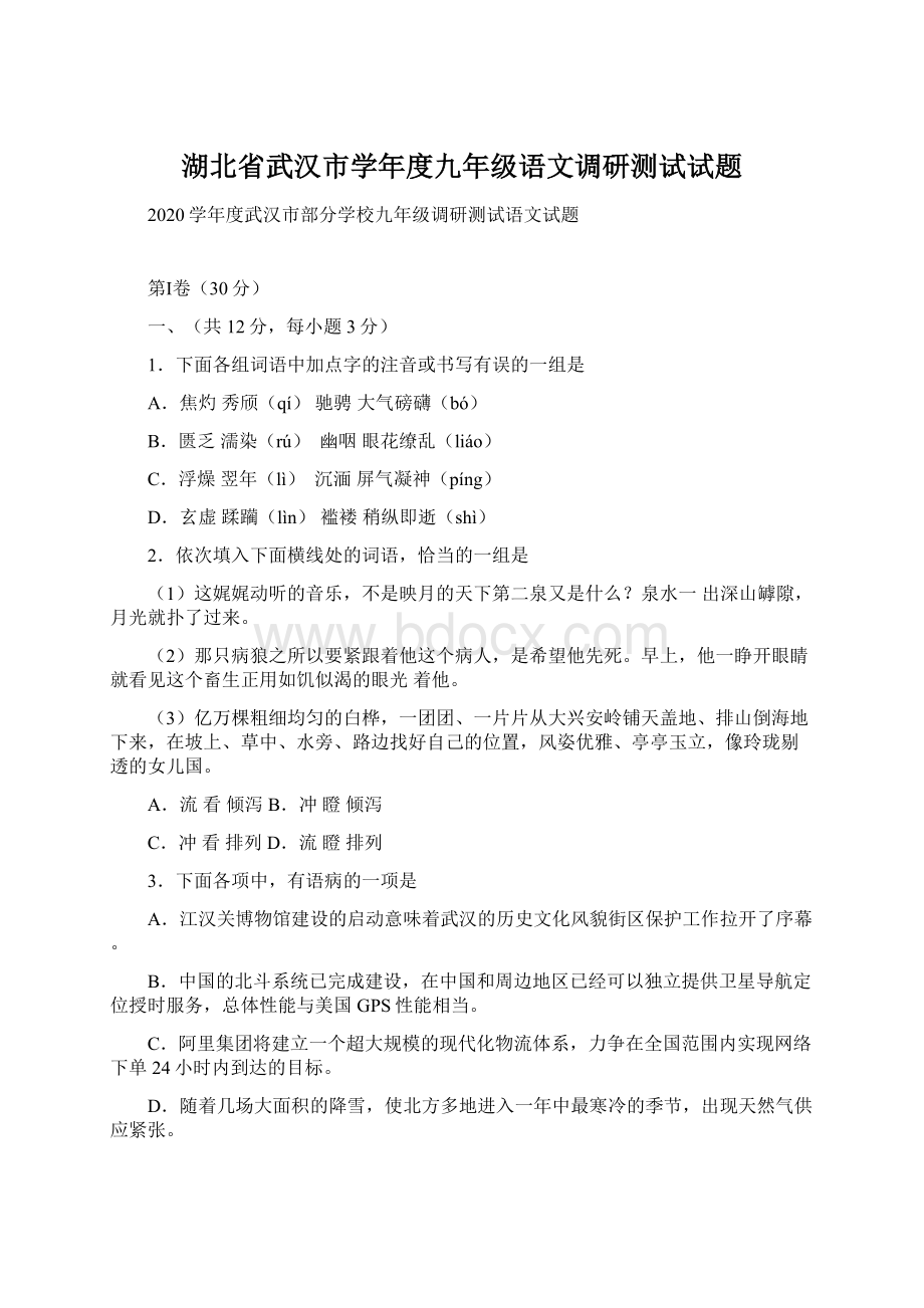 湖北省武汉市学年度九年级语文调研测试试题.docx