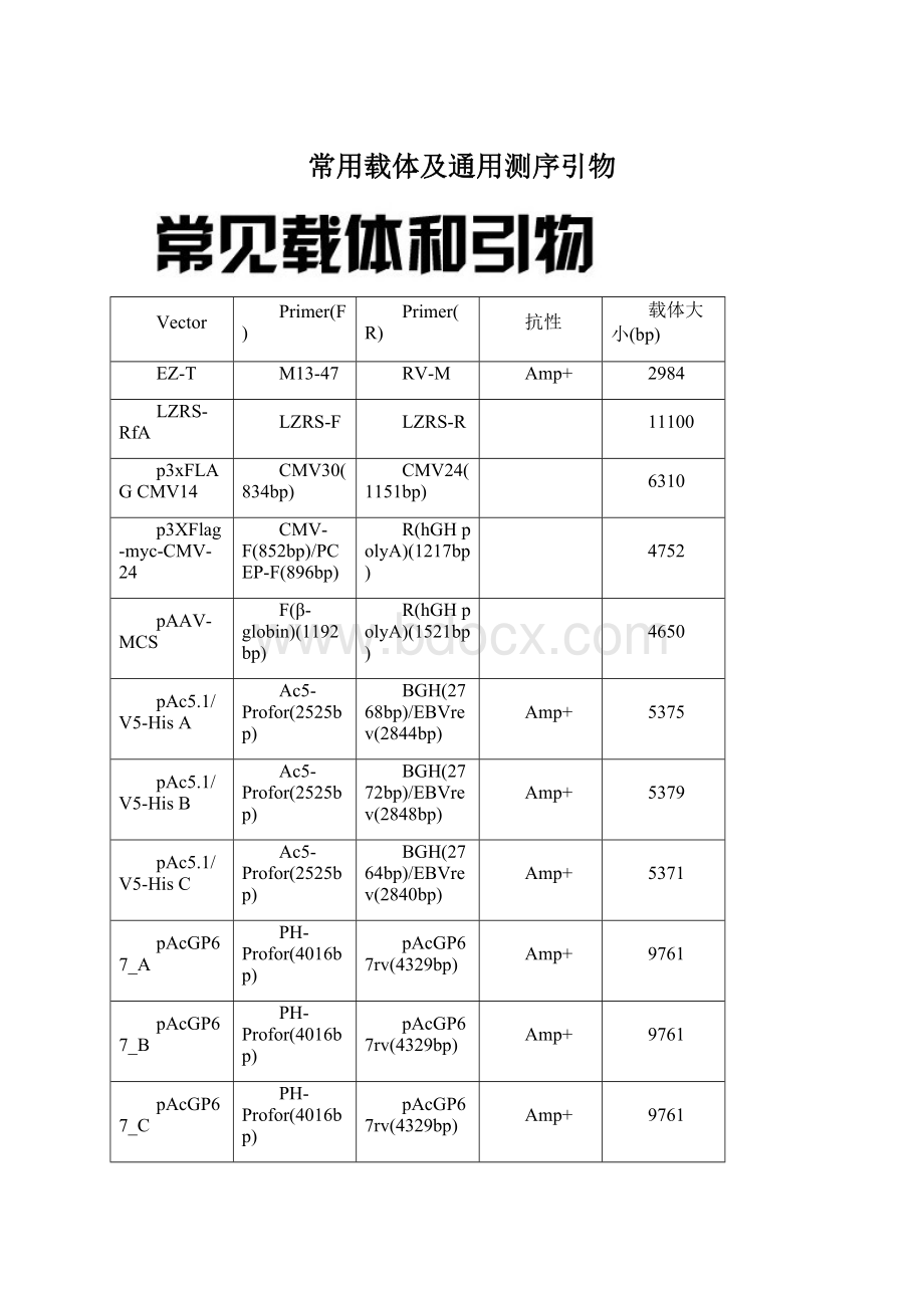 常用载体及通用测序引物文档格式.docx