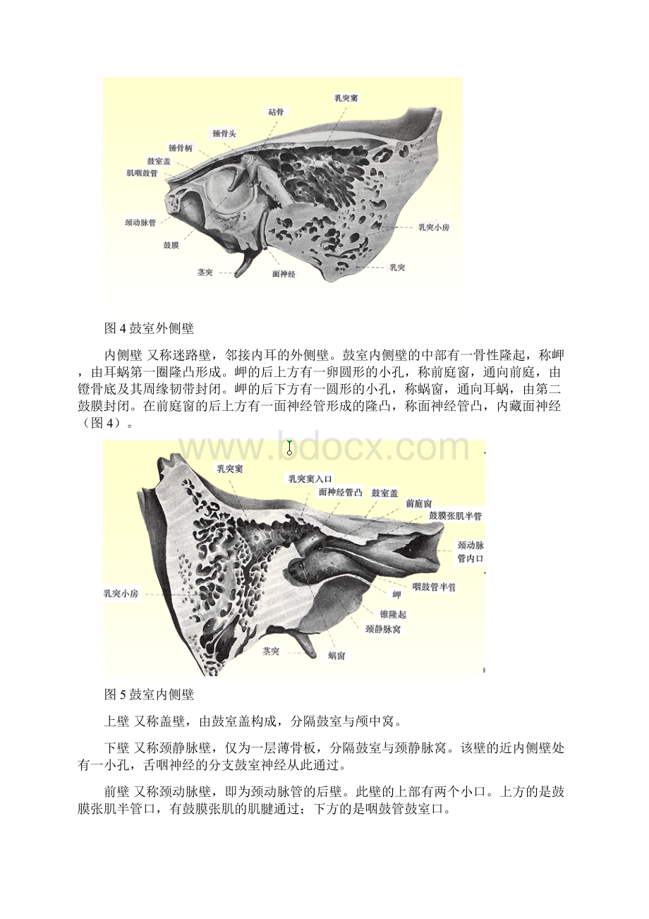 试论外耳门与内耳门是否相通.docx_第3页