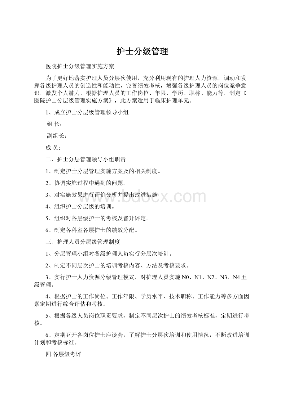 护士分级管理文档格式.docx