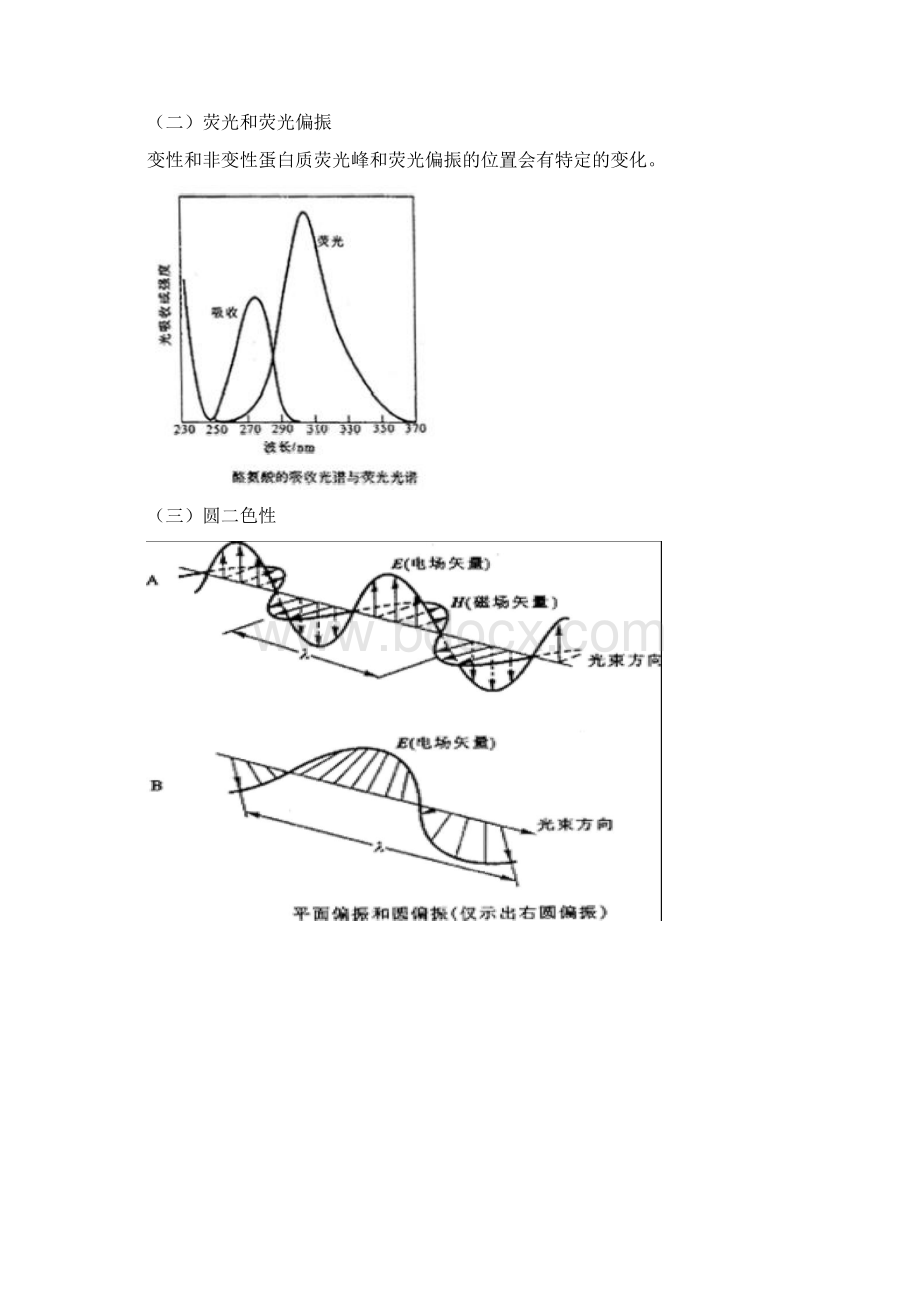 第5章蛋白质的三维结构文档格式.docx_第2页