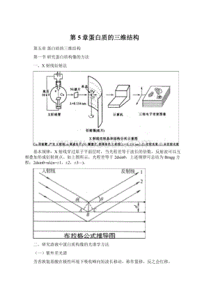 第5章蛋白质的三维结构文档格式.docx