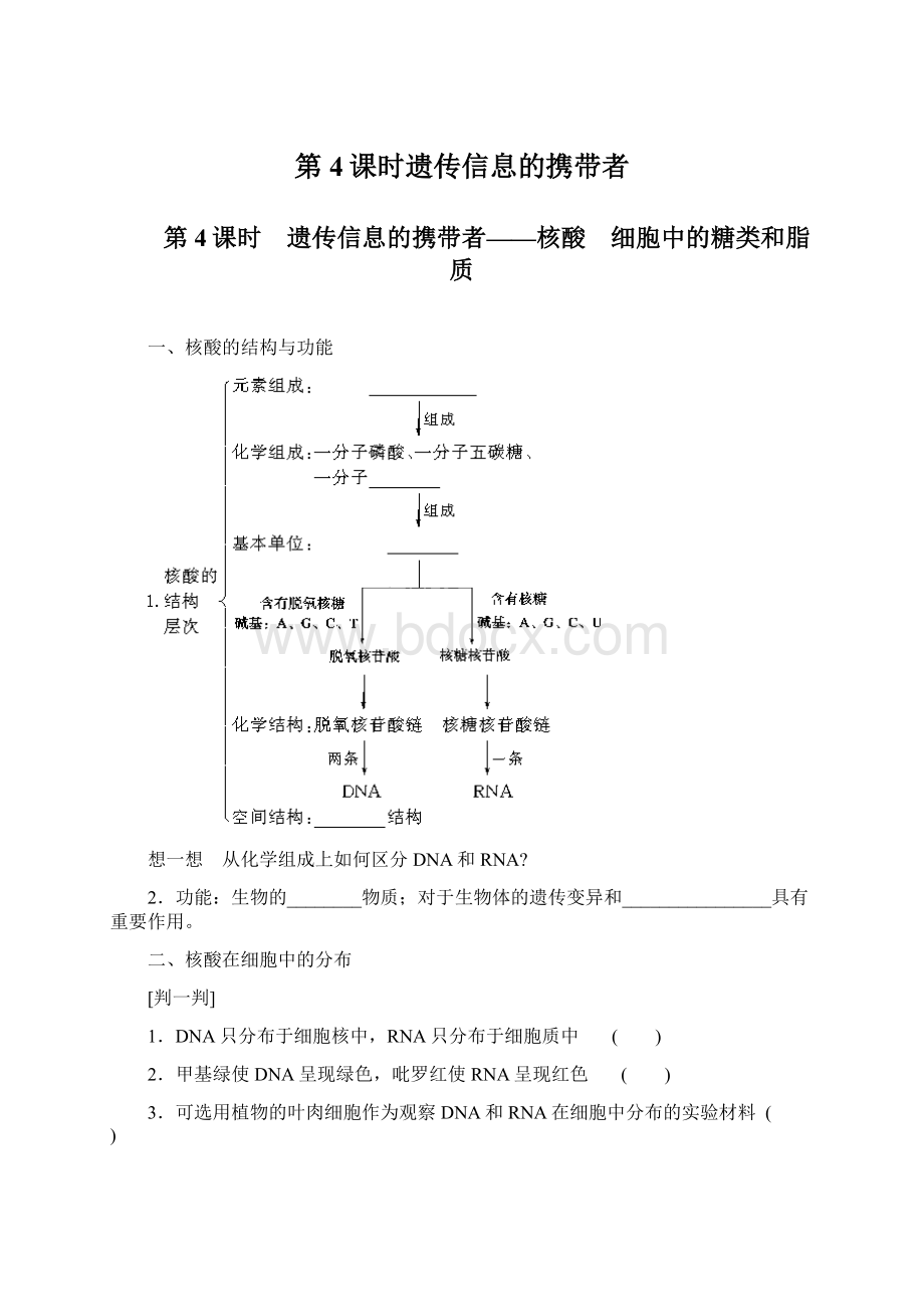 第4课时遗传信息的携带者.docx_第1页