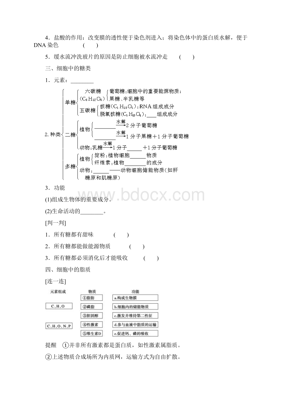 第4课时遗传信息的携带者.docx_第2页