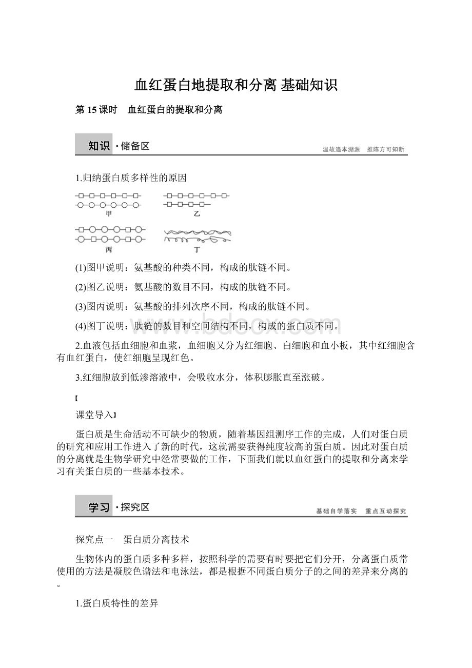 血红蛋白地提取和分离 基础知识Word格式.docx