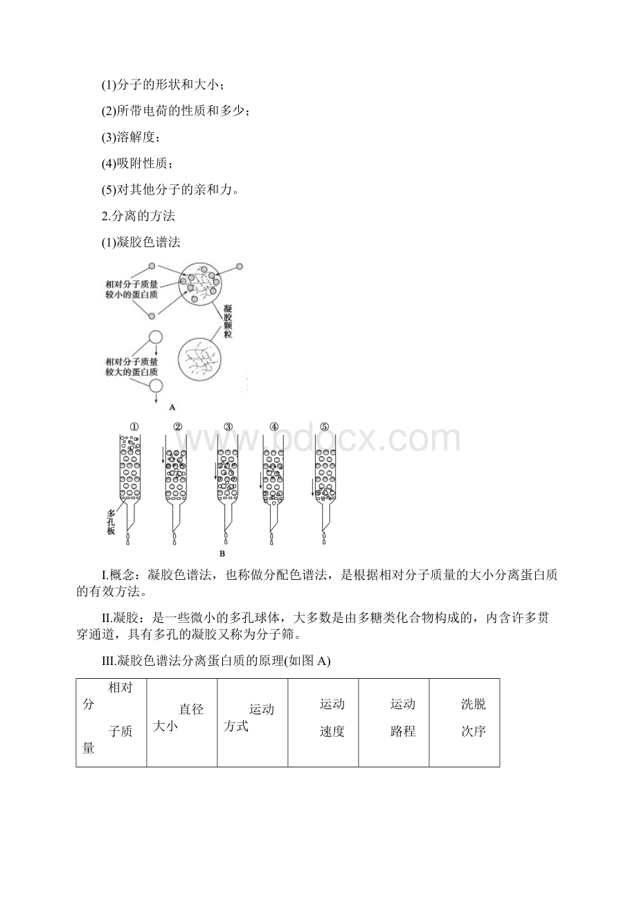 血红蛋白地提取和分离 基础知识Word格式.docx_第2页