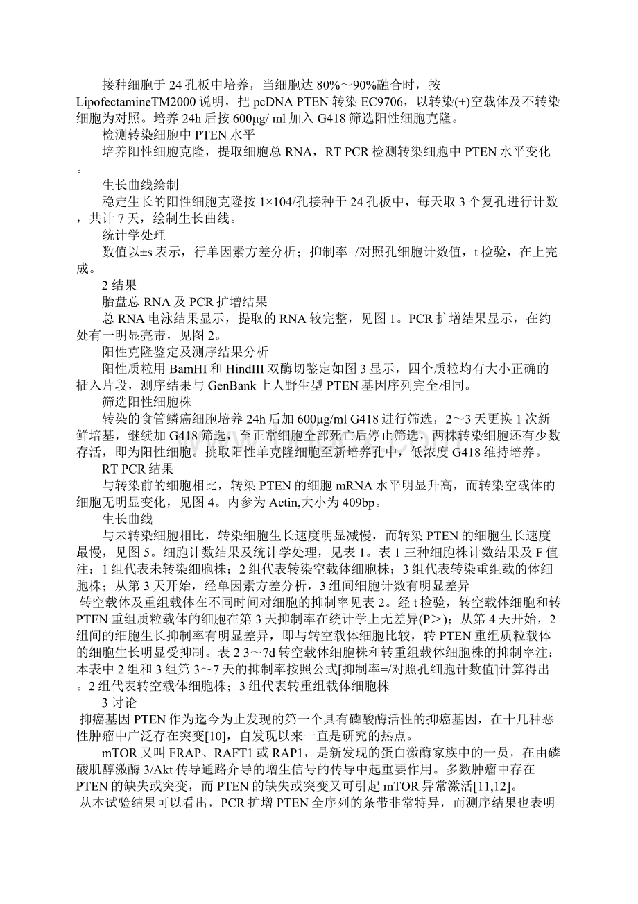 PTEN表达载体的构建及转染食管鳞癌细胞系EC9706文档格式.docx_第3页