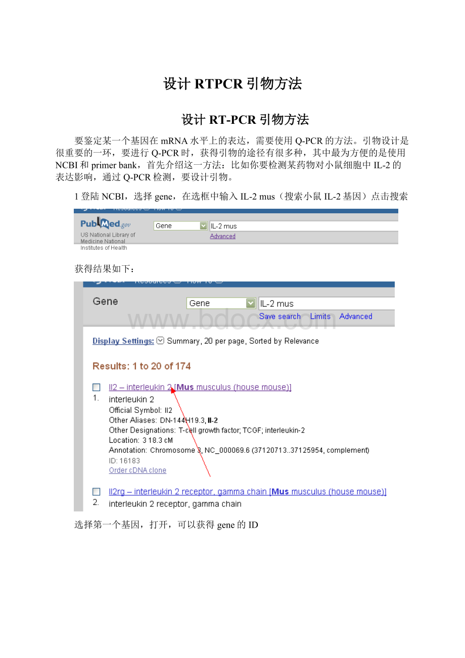 设计RTPCR引物方法Word格式.docx