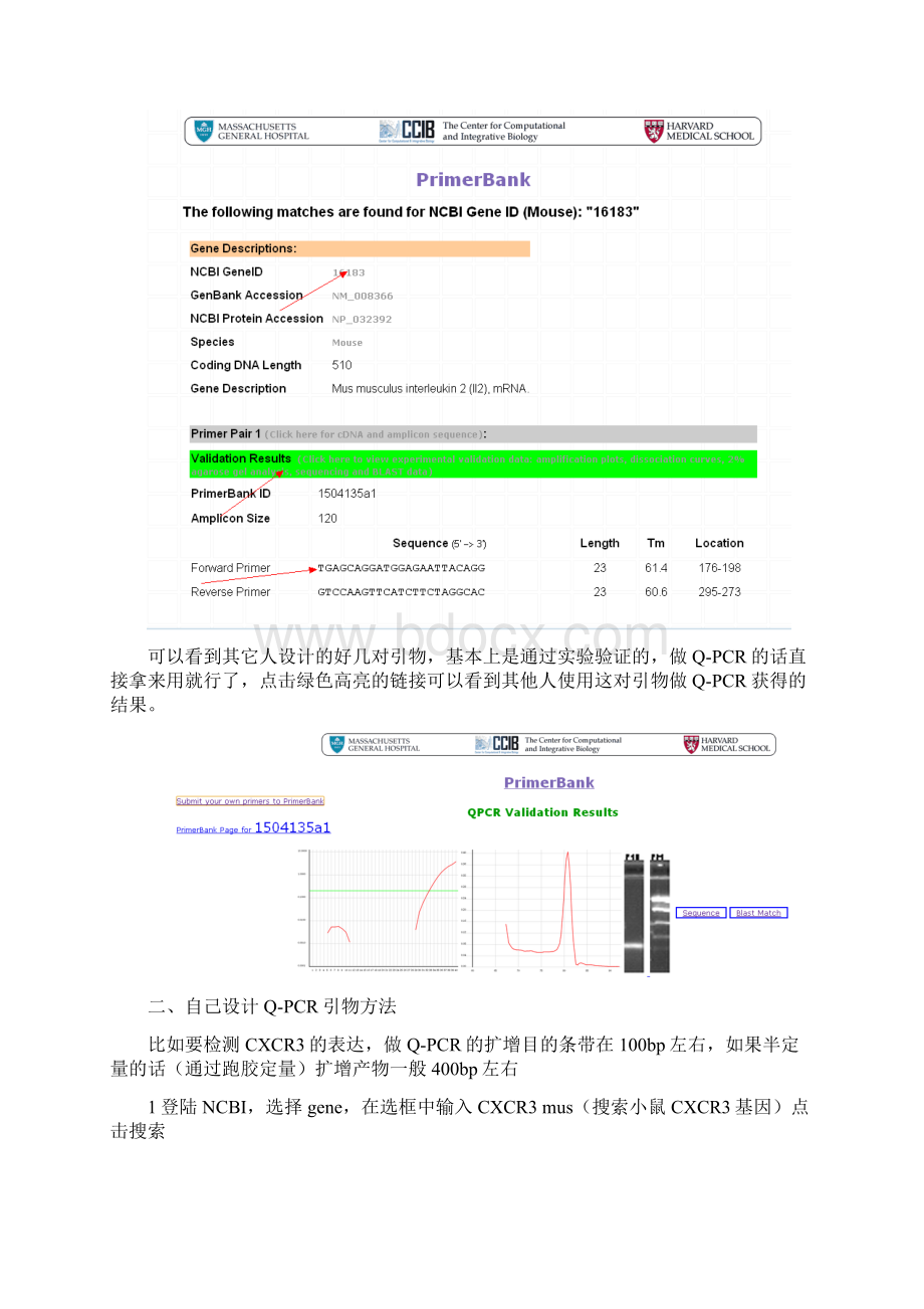 设计RTPCR引物方法Word格式.docx_第3页