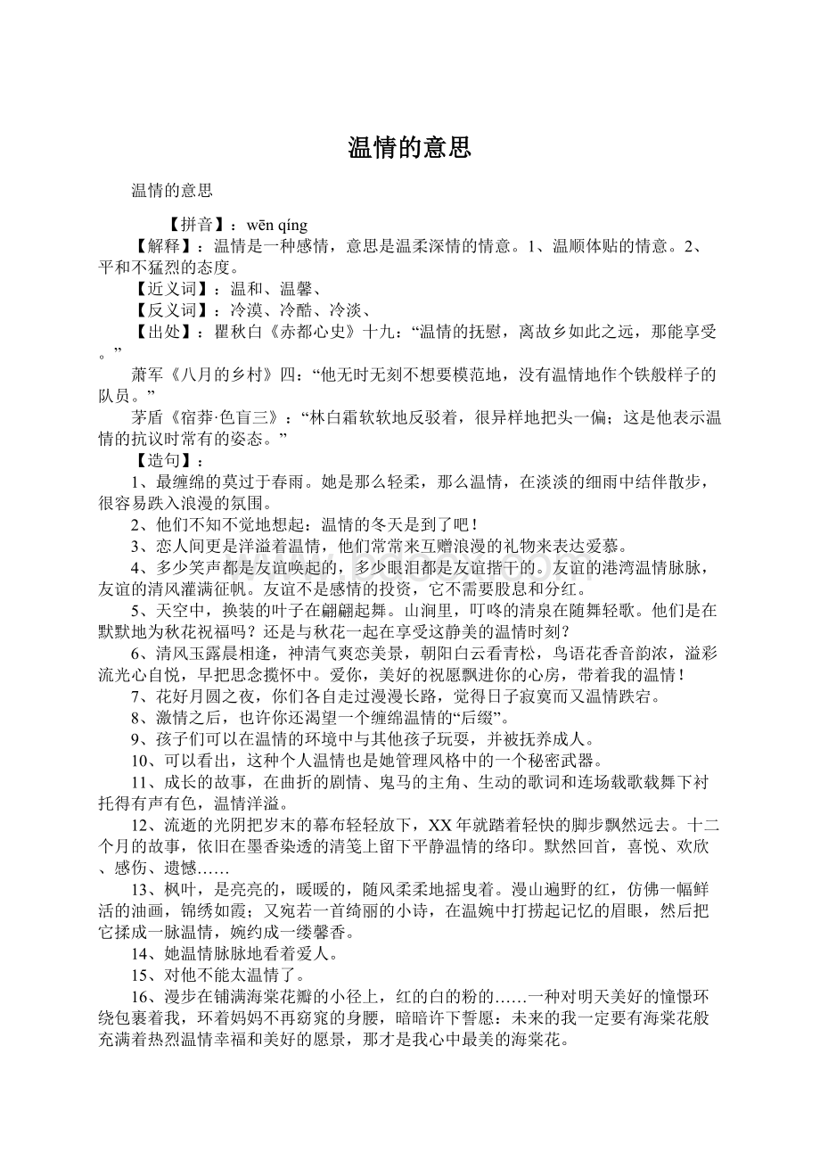 温情的意思Word格式文档下载.docx