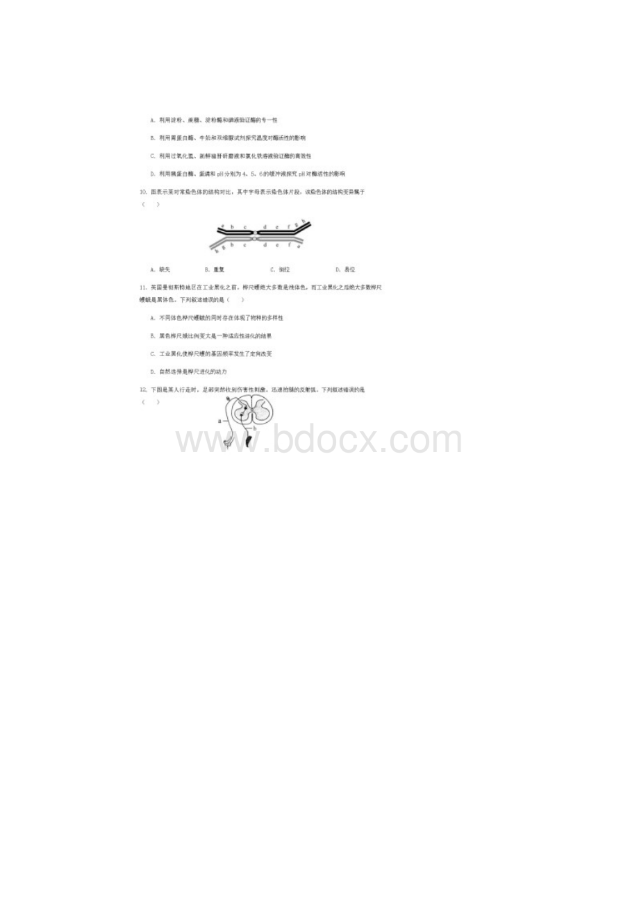 浙江省瑞安市上海新纪元高级中学学年高一生物下学期期末考试试题含答案文档格式.docx_第3页