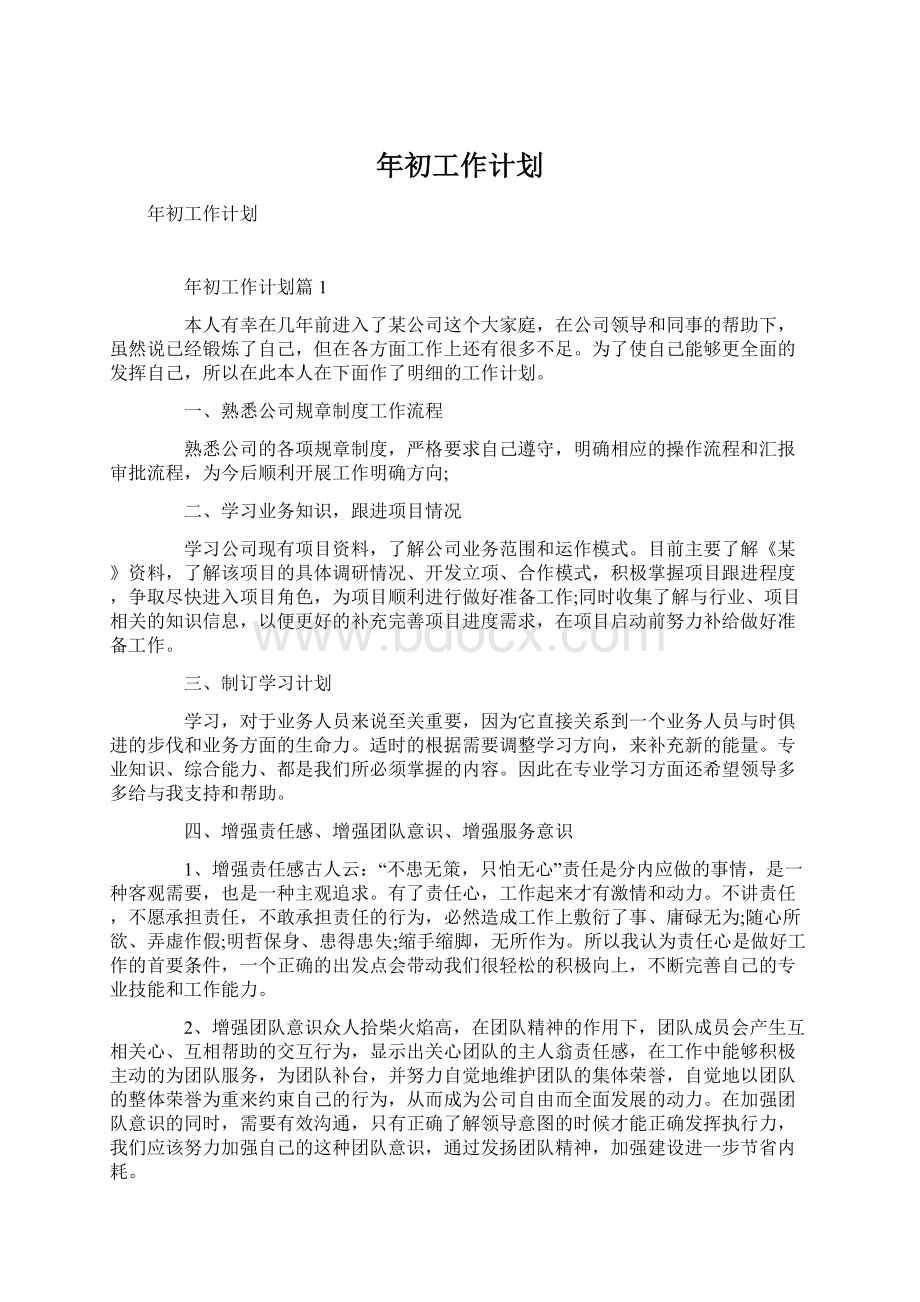 年初工作计划.docx_第1页