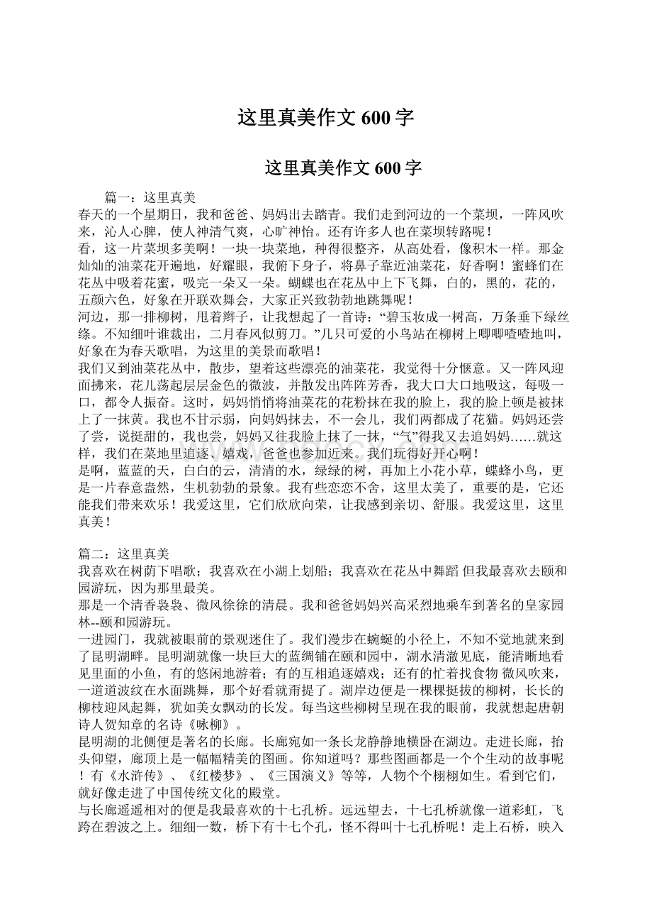 这里真美作文600字Word文件下载.docx_第1页