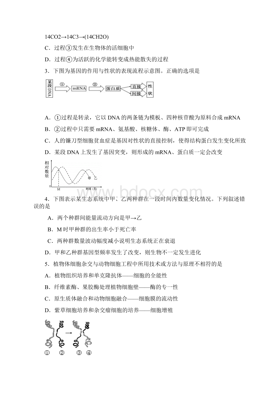 模拟理科综合试题.docx_第2页