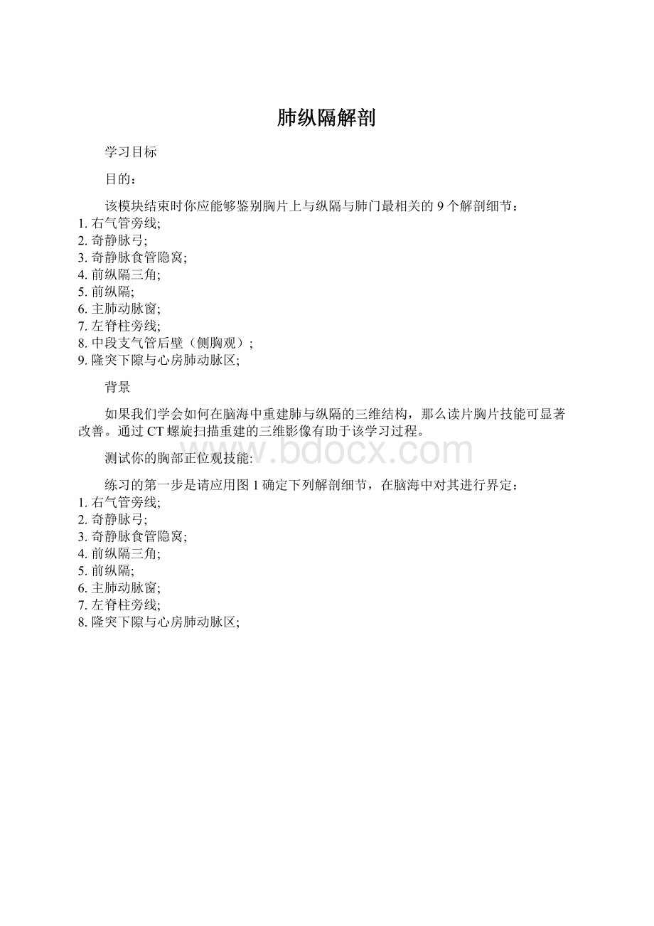 肺纵隔解剖Word格式文档下载.docx_第1页