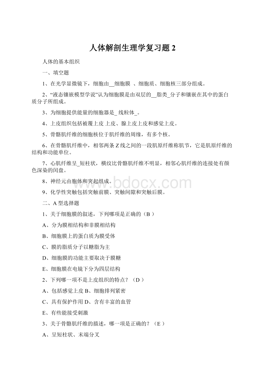 人体解剖生理学复习题2Word文档下载推荐.docx