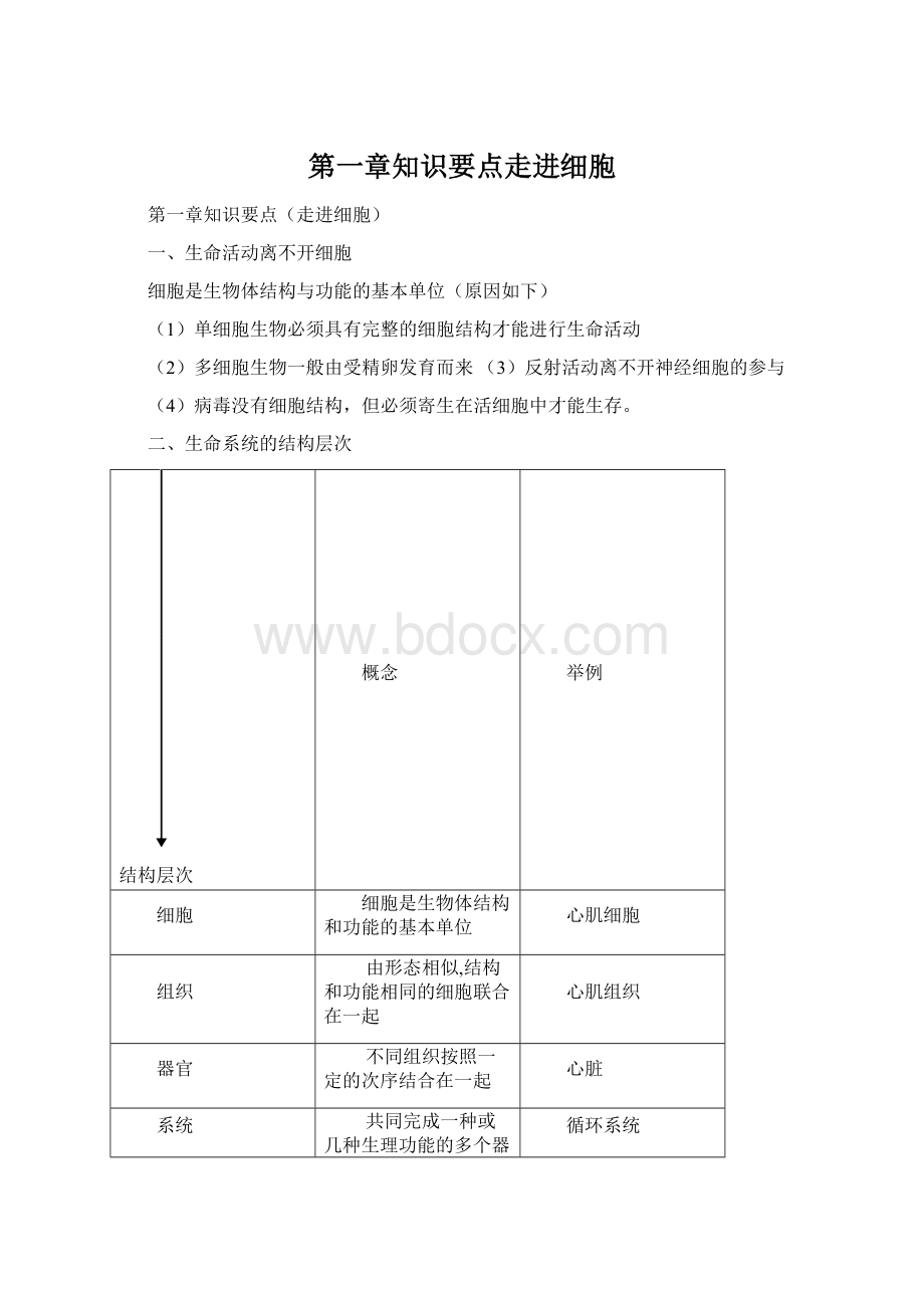 第一章知识要点走进细胞文档格式.docx