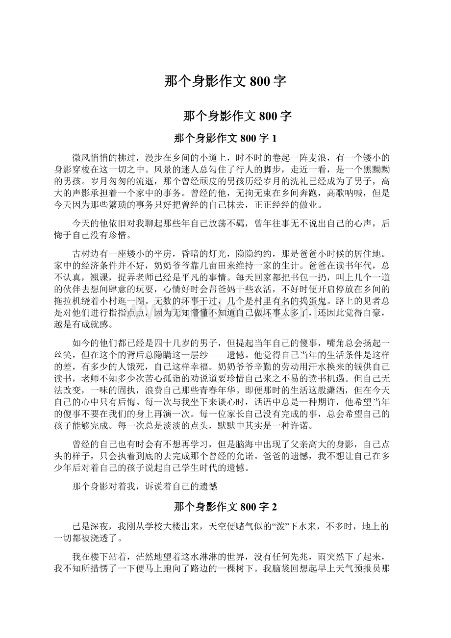 那个身影作文800字Word格式文档下载.docx_第1页