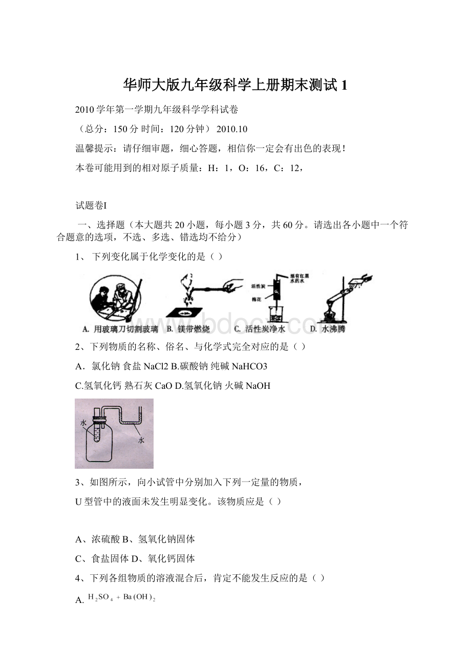 华师大版九年级科学上册期末测试1.docx