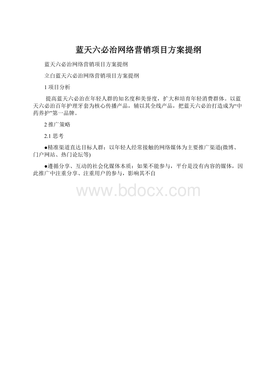 蓝天六必治网络营销项目方案提纲Word文档格式.docx