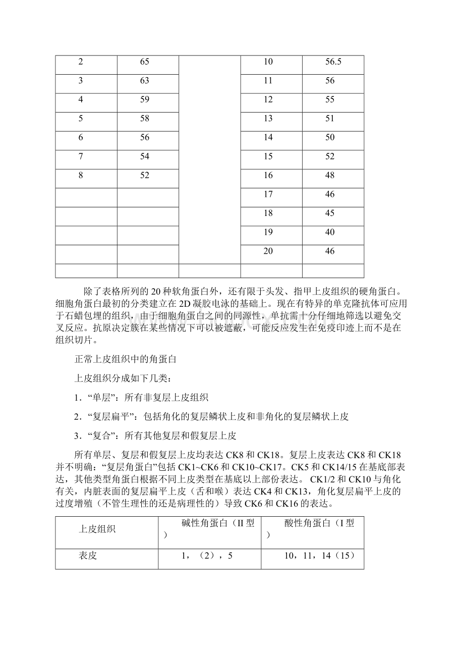 细胞角蛋白.docx_第2页