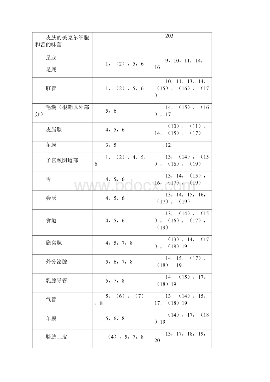 细胞角蛋白.docx_第3页