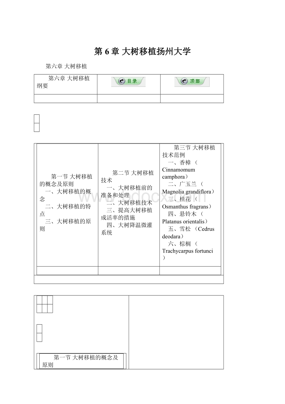 第6章 大树移植扬州大学.docx_第1页