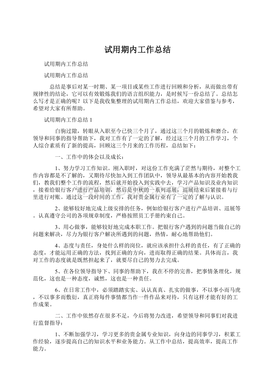 试用期内工作总结文档格式.docx_第1页