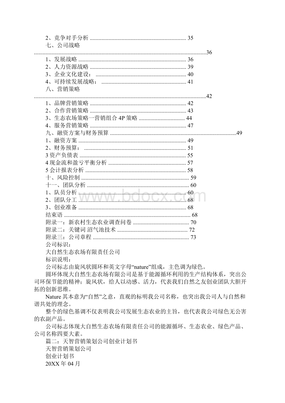 营销策划创业计划书.docx_第2页