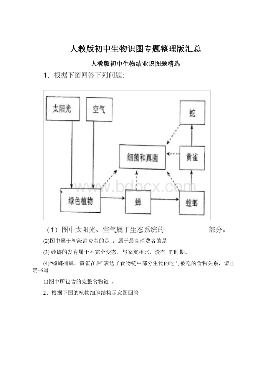 人教版初中生物识图专题整理版汇总Word格式.docx