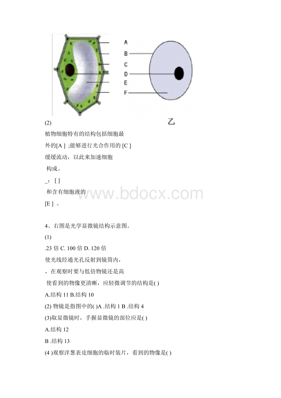 人教版初中生物识图专题整理版汇总Word格式.docx_第3页