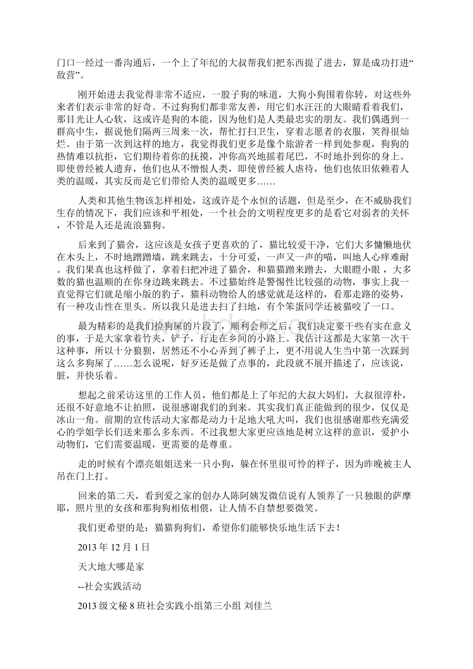 关爱流浪动物社会实践活动报告Word文件下载.docx_第2页