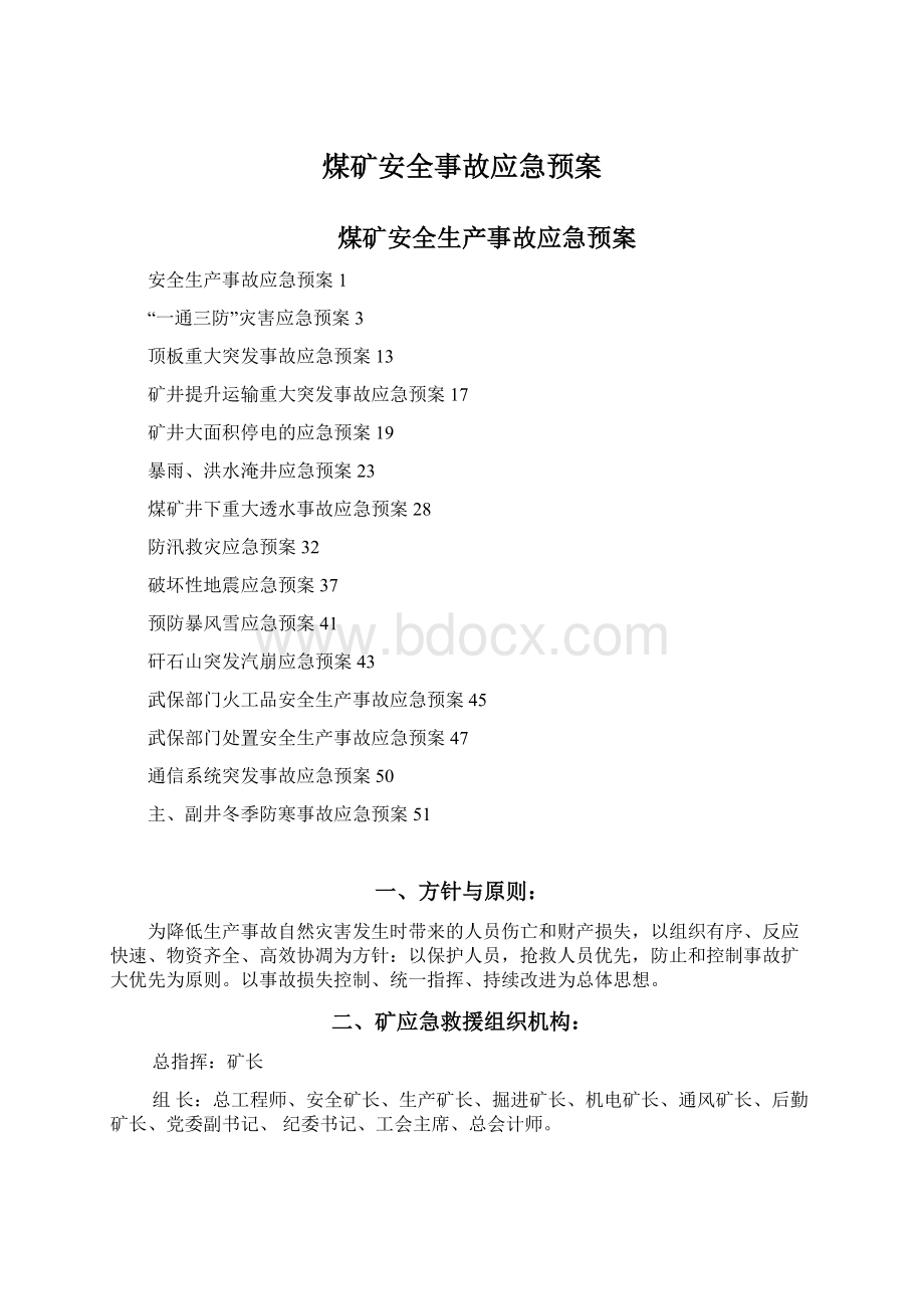 煤矿安全事故应急预案文档格式.docx