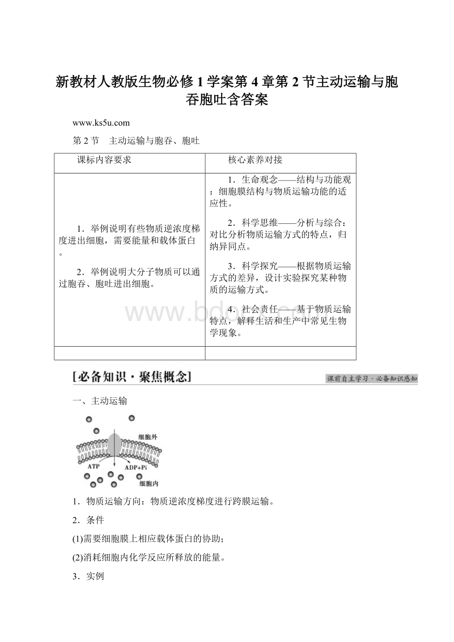 新教材人教版生物必修1学案第4章第2节主动运输与胞吞胞吐含答案Word文档下载推荐.docx