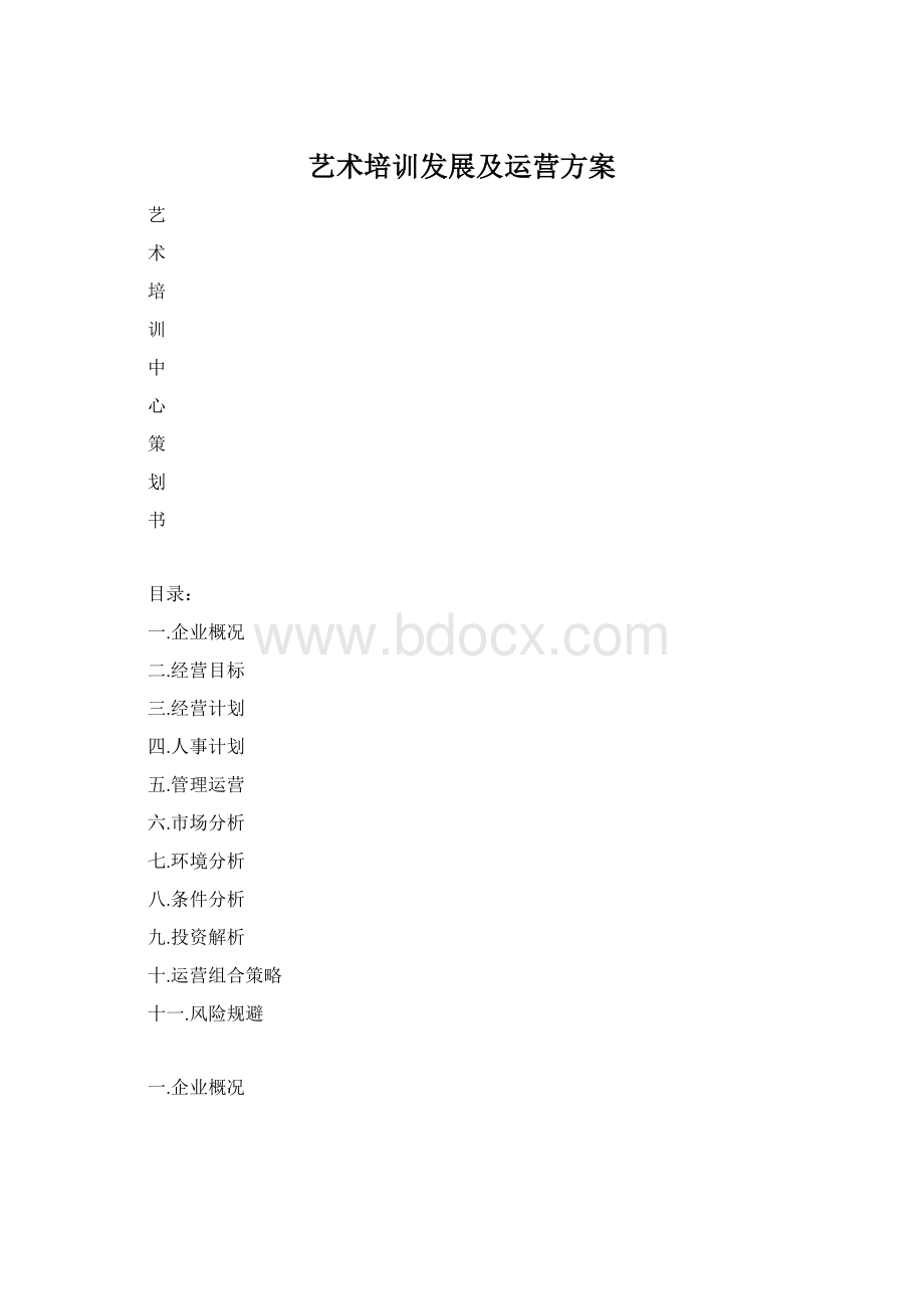 艺术培训发展及运营方案文档格式.docx