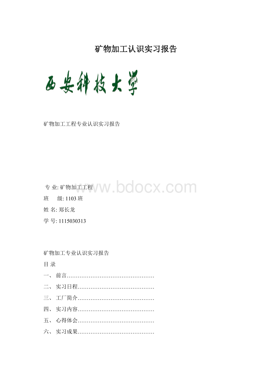 矿物加工认识实习报告.docx