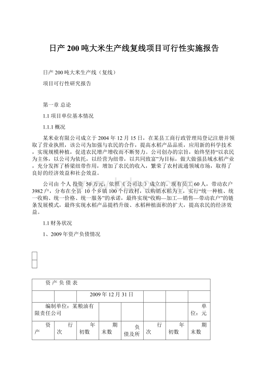 日产200吨大米生产线复线项目可行性实施报告.docx