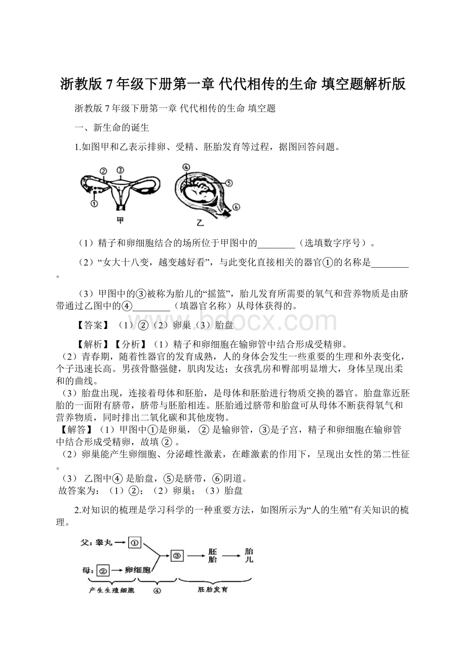 浙教版7年级下册第一章 代代相传的生命 填空题解析版.docx_第1页