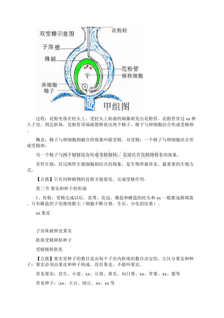 版初二生物上册知识点汇总文档格式.docx_第3页