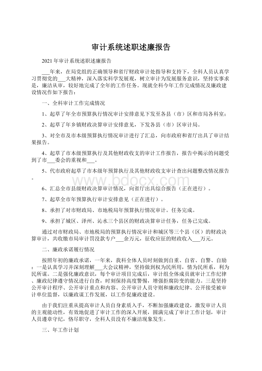 审计系统述职述廉报告.docx_第1页