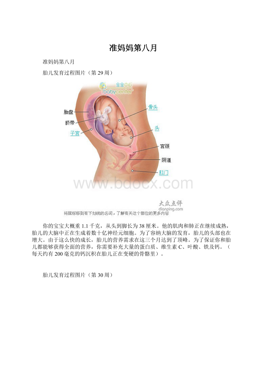 准妈妈第八月Word文档格式.docx_第1页