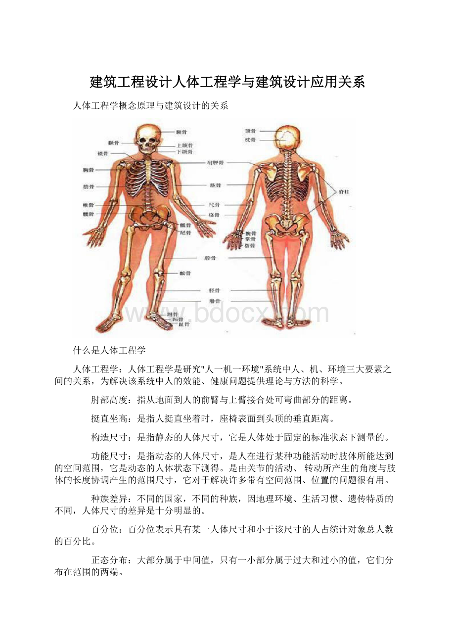 建筑工程设计人体工程学与建筑设计应用关系Word文件下载.docx