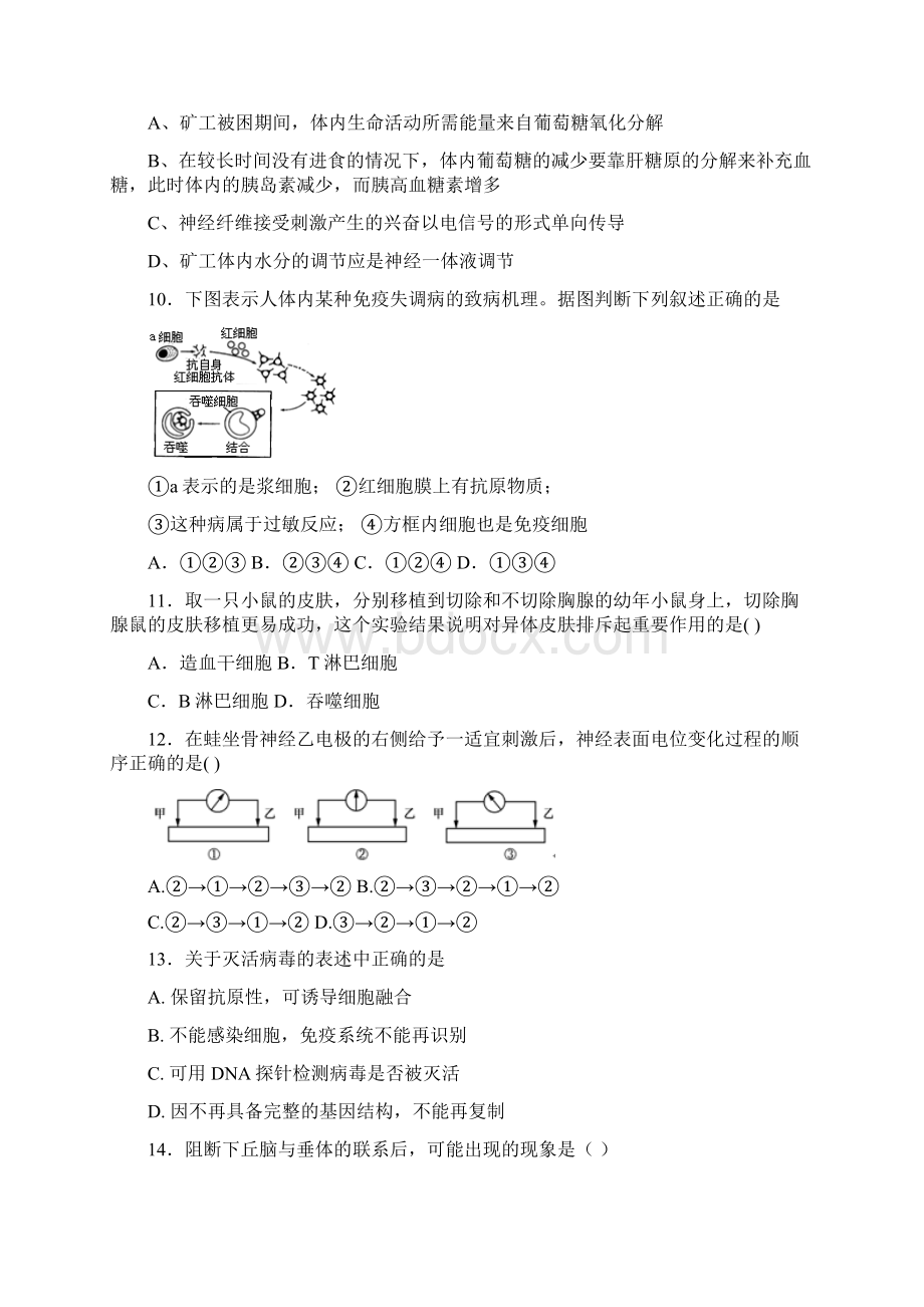 新课标高二生物暑假作业2 第2章 动物和人体生命的调节Word格式文档下载.docx_第3页